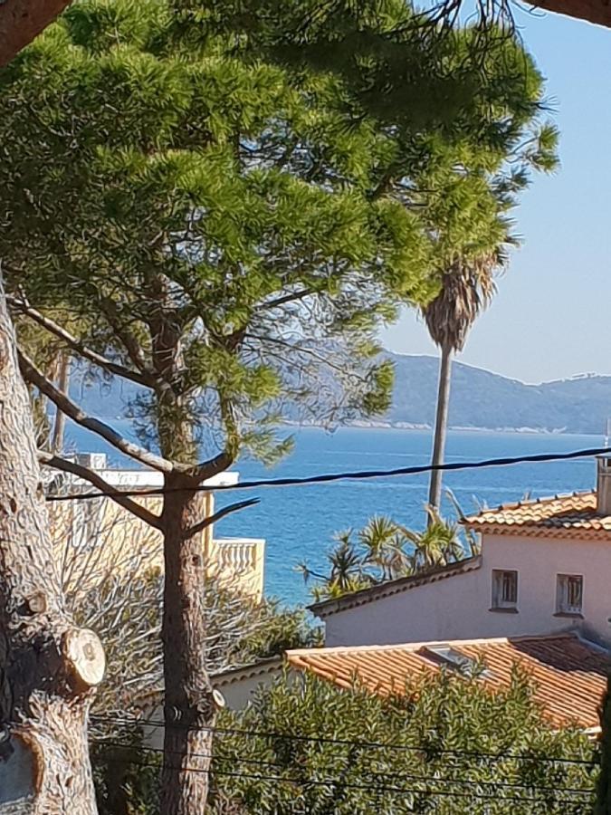 Superbe Appartement Cosy Vue Mer Pieds Dans L'Eau Cavalaire-sur-Mer Eksteriør billede